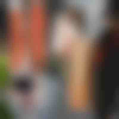 Curele de transport (2 buc.) | DUOLIFTERS