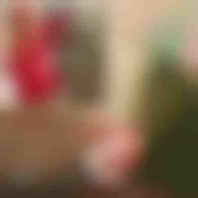 Moș Crăciun cu o parașută | SANTASWING