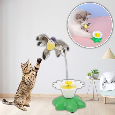 Jucărie pentru pisici  | BIRDIETOY