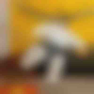 Costum gonflabil de sumo | SUMOCOS