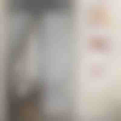 Plasa de tantari magnetica pentru usi | INSECTPROTECT