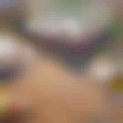 Grătar portabil pliabil | GRILLOMATE