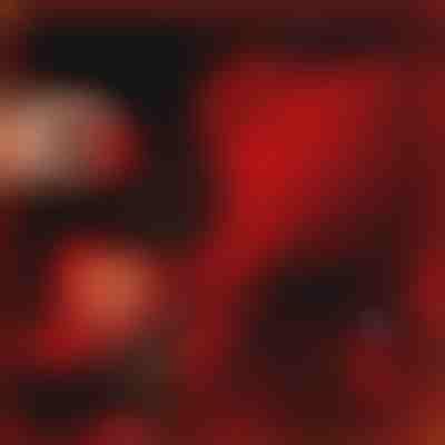 Cadoul care exprimă iubirea | LOVEBEAR