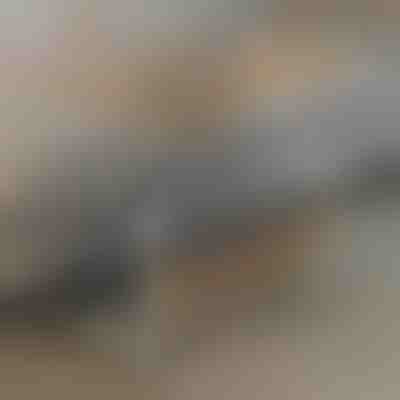 Masă portabilă | EVOSTUL