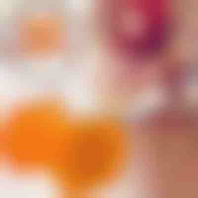 Presă manuală pentru cârnați și mici | CEVAPMAKER