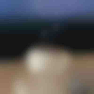 Difuzor de aromă calmant | MEDUSAMIST